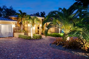 Tree trimming and pruning in Miami, FL.