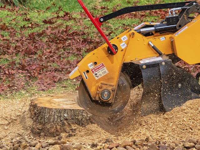 Stump Grinding.