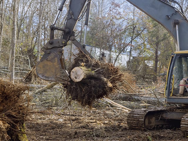 Stump Removal.